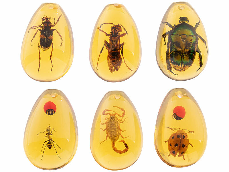 ; Edelsteine-Ausgraubungssets Edelsteine-Ausgraubungssets Edelsteine-Ausgraubungssets 