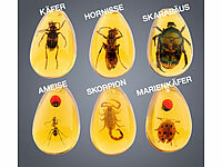 ; Autorennbahnen im Koffer, Projektor-Taschenlampen für Kinder Autorennbahnen im Koffer, Projektor-Taschenlampen für Kinder Autorennbahnen im Koffer, Projektor-Taschenlampen für Kinder Autorennbahnen im Koffer, Projektor-Taschenlampen für Kinder 