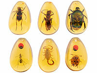 ; Edelsteine-Ausgraubungssets Edelsteine-Ausgraubungssets Edelsteine-Ausgraubungssets 