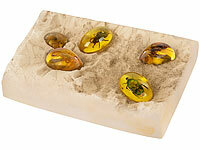 ; Edelsteine-Ausgraubungssets Edelsteine-Ausgraubungssets Edelsteine-Ausgraubungssets 