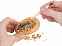 ; Geduldspiele aus Holz Geduldspiele aus Holz Geduldspiele aus Holz 